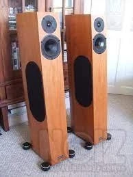 ΗΧΕΙΑ AUDIO PHYSIC `TEMPO ` Monitor